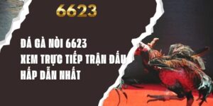 Đá Gà Nòi 6623 - Xem Trực Tiếp Trận Đấu Hấp Dẫn Nhất